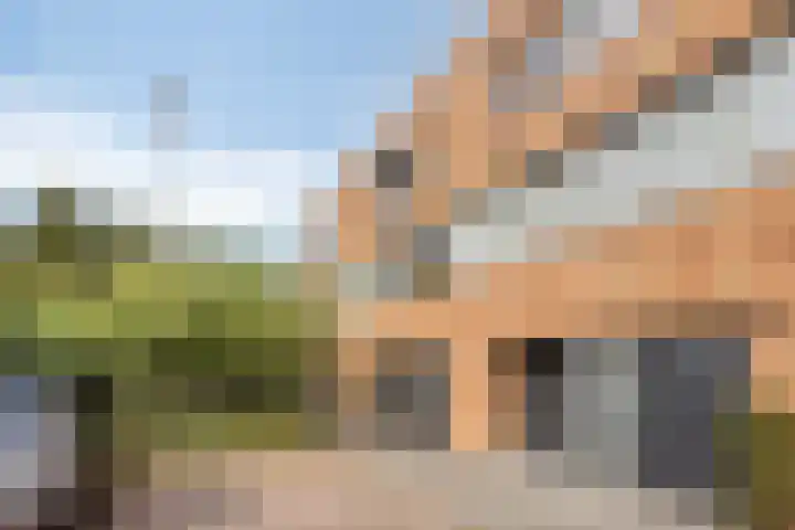 Groot Berkenbos 24 IJmuiden thumbnail 33