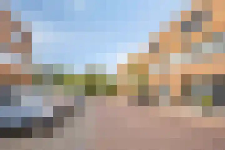 Groot Berkenbos 24 IJmuiden thumbnail 34