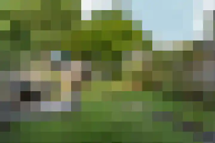 Groot-Brittanniëstraat 42 Lent thumbnail 37