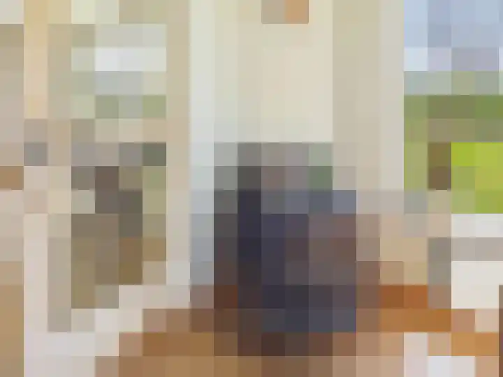 Groot Cambrondijk 13 Vogelwaarde thumbnail 11