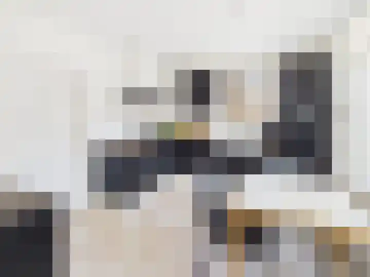 Groot Cambrondijk 13 Vogelwaarde thumbnail 13