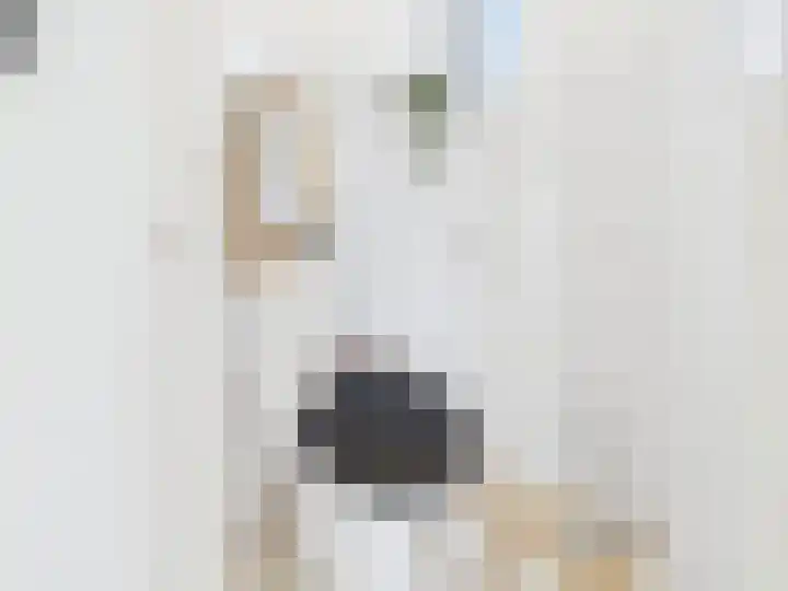 Groot Cambrondijk 13 Vogelwaarde thumbnail 17