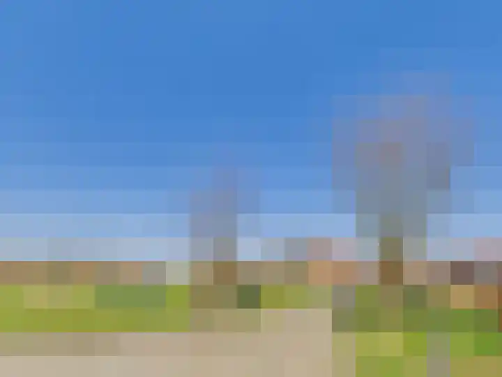 Groot Cambrondijk 13 Vogelwaarde thumbnail 33