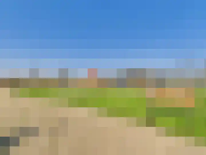 Groot Cambrondijk 13 Vogelwaarde thumbnail 46