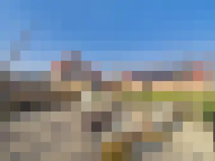 Groot Cambrondijk 13 Vogelwaarde thumbnail 51