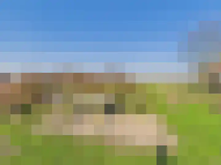 Groot Cambrondijk 13 Vogelwaarde thumbnail 58