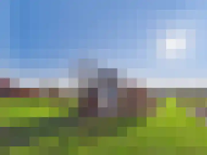 Groot Cambrondijk 13 Vogelwaarde thumbnail 59