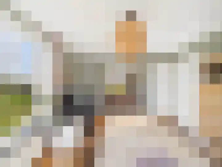 Groot Cambrondijk 13 Vogelwaarde thumbnail 7