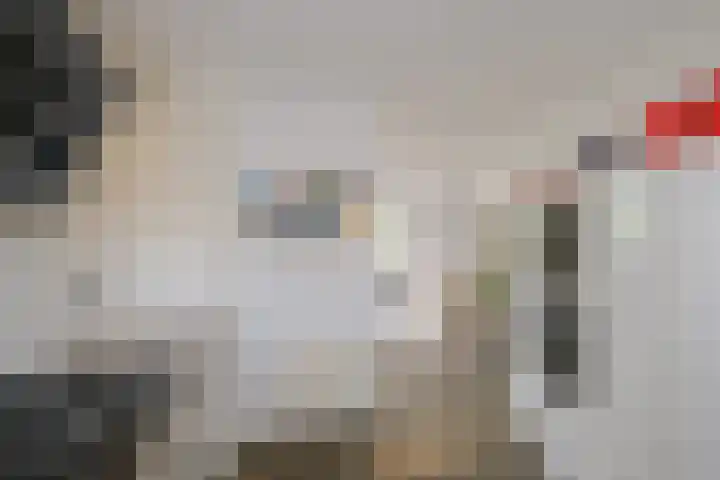Groot Hag 14 Almelo thumbnail 11