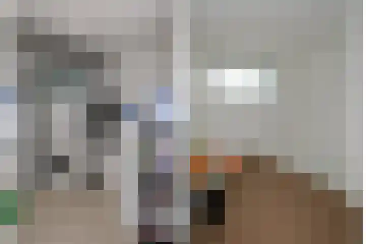 Groot Hag 14 Almelo thumbnail 18
