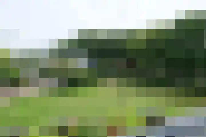 Groot Hag 14 Almelo thumbnail 23