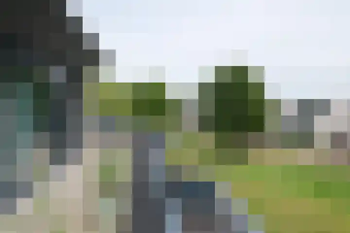 Groot Hag 14 Almelo thumbnail 25