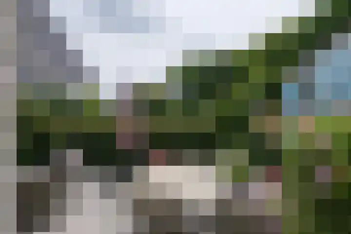 Groot Hag 14 Almelo thumbnail 29