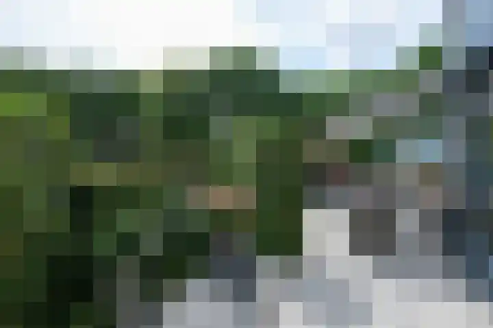 Groot Hag 14 Almelo thumbnail 34