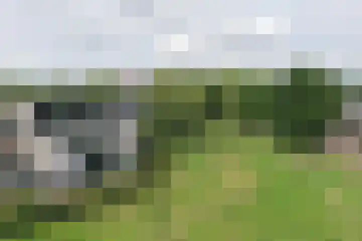 Groot Hag 14 Almelo thumbnail 38