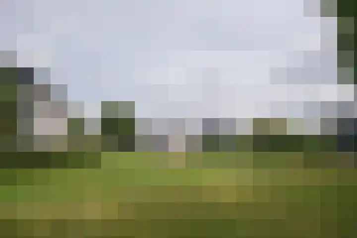 Groot Hag 14 Almelo thumbnail 39