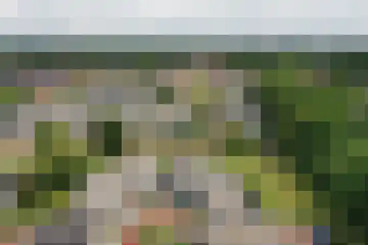 Groot Hag 14 Almelo thumbnail 42