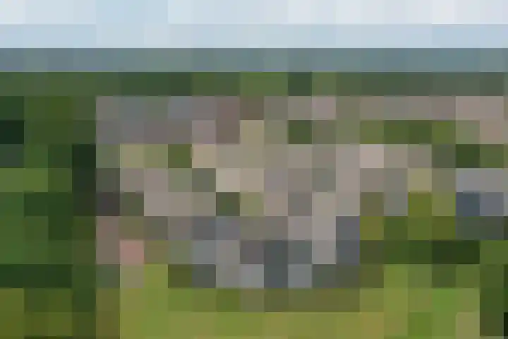 Groot Hag 14 Almelo thumbnail 45