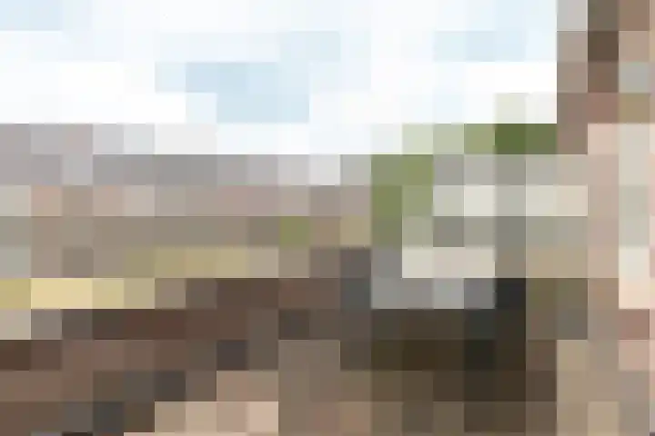 Groot Horloo 43 Ermelo thumbnail 12