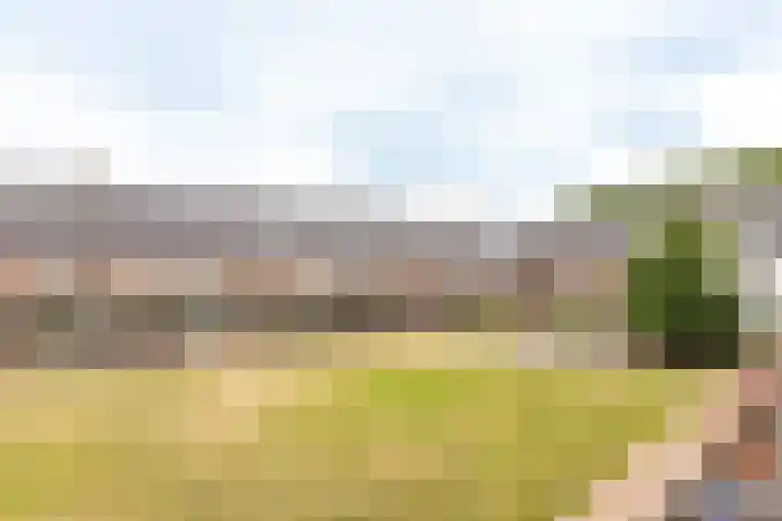 Groot Horloo 43 Ermelo thumbnail 13