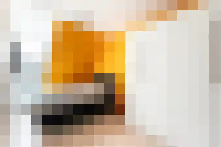 Groot Horloo 43 Ermelo thumbnail 17