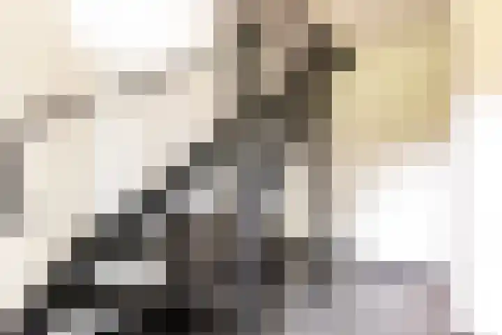 Groot Horloo 43 Ermelo thumbnail 22