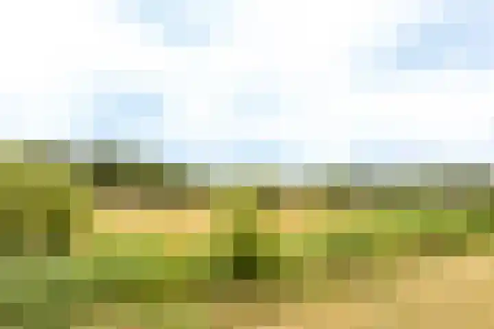 Groot Horloo 43 Ermelo thumbnail 28