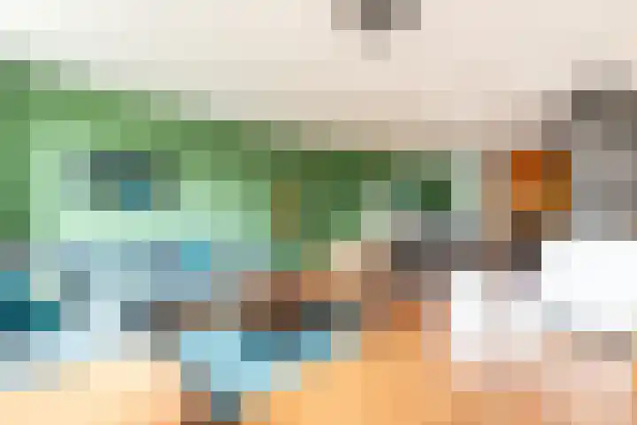 Groot Horloo 43 Ermelo foto 3