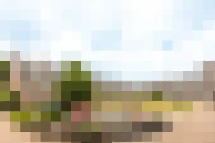 Groot Horloo 43 Ermelo thumbnail 30