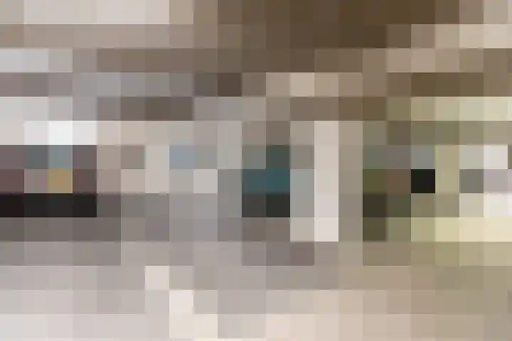 Groot Horloo 43 Ermelo thumbnail 31