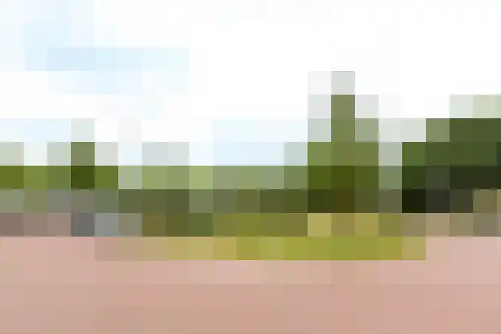 Groot Horloo 43 Ermelo thumbnail 35