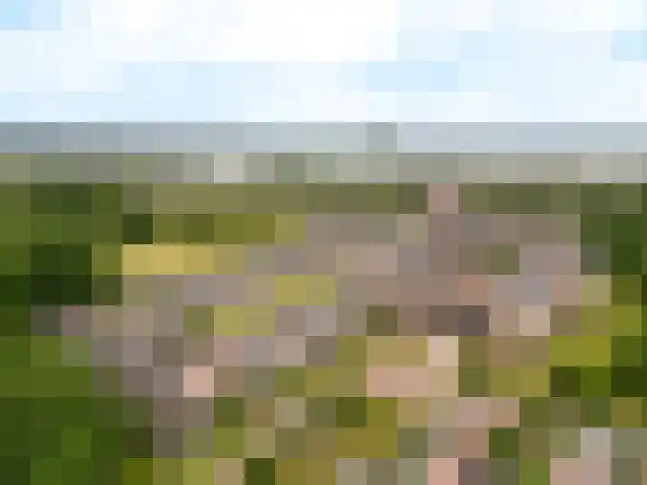 Groot Horloo 43 Ermelo thumbnail 36