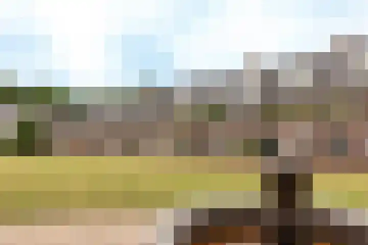 Groot Horloo 43 Ermelo thumbnail 41