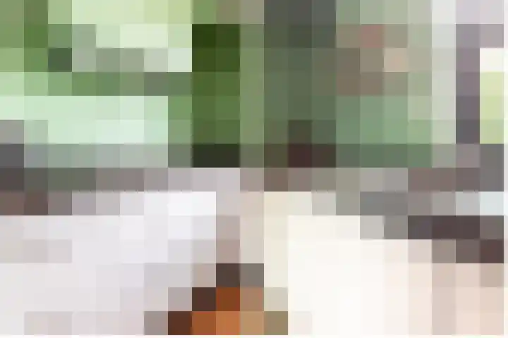 Groot Horloo 43 Ermelo thumbnail 7