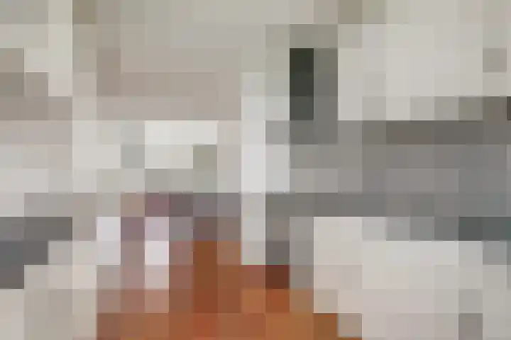 Groot Horloo 49 Ermelo thumbnail 17