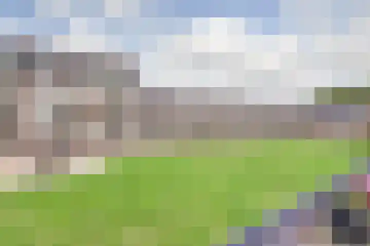 Groot Horloo 49 Ermelo thumbnail 28