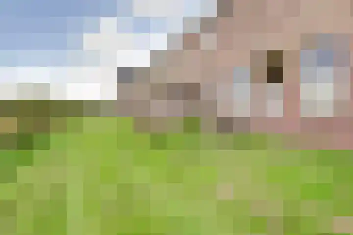 Groot Horloo 49 Ermelo thumbnail 38