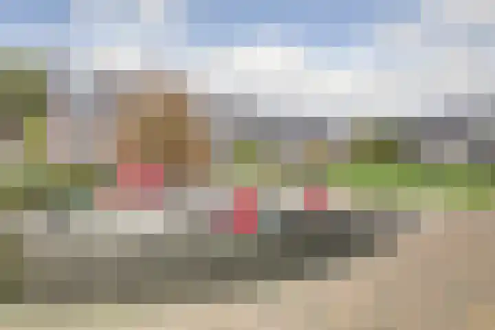 Groot Horloo 49 Ermelo thumbnail 39