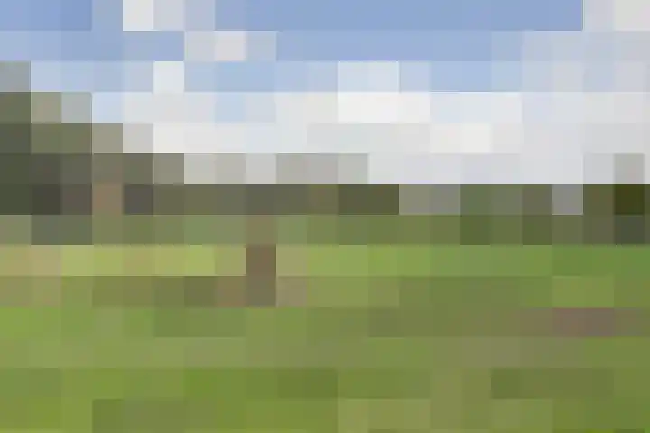 Groot Horloo 49 Ermelo thumbnail 40