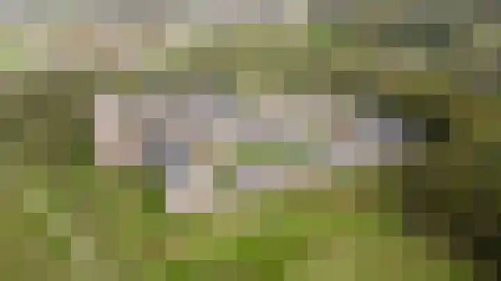 Groot Horloo 49 Ermelo thumbnail 41