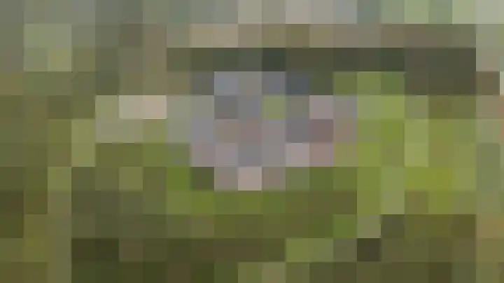 Groot Horloo 49 Ermelo thumbnail 42