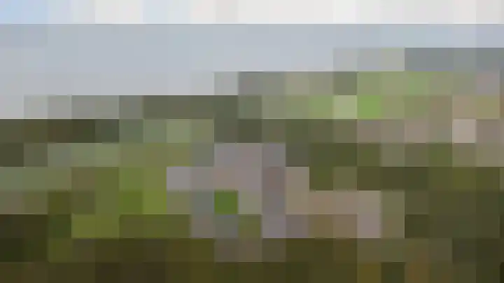 Groot Horloo 49 Ermelo thumbnail 44