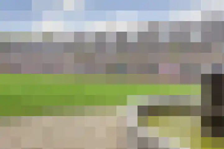 Groot Horloo 49 Ermelo thumbnail 5