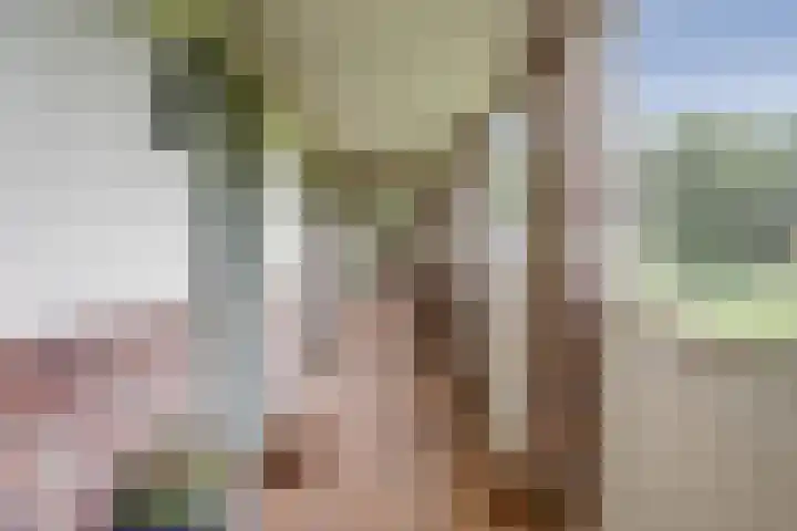 Groot Horloo 49 Ermelo thumbnail 6
