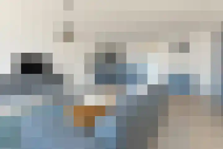 Groot Horloo 8 Ermelo thumbnail 17