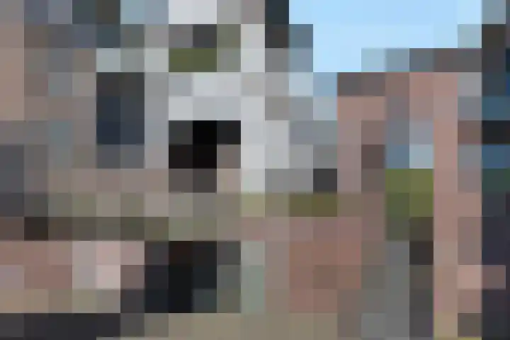 Groot Horloo 8 Ermelo foto 2