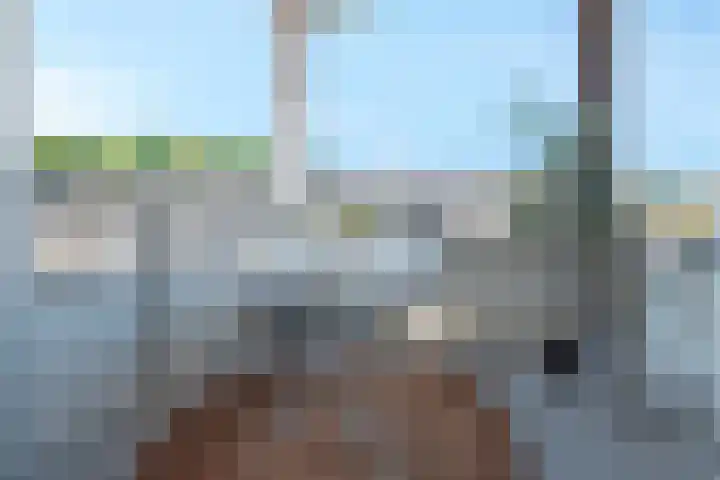Groot Horloo 8 Ermelo thumbnail 20