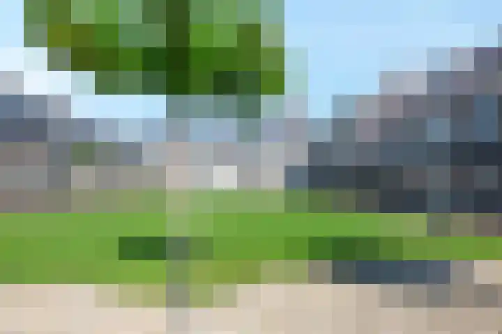 Groot Horloo 8 Ermelo thumbnail 22