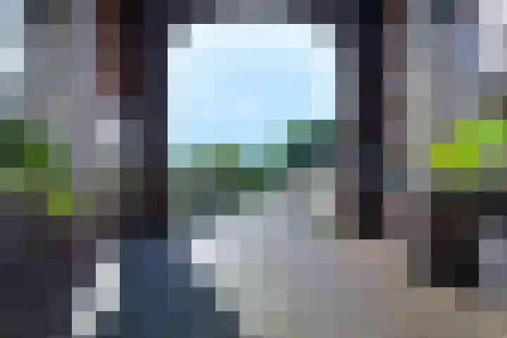 Groot Horloo 8 Ermelo thumbnail 8