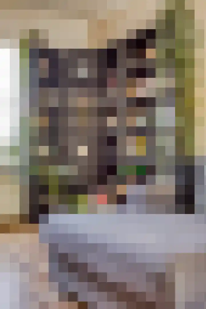 Groot Kraaivenstraat 2 a Goirle thumbnail 12